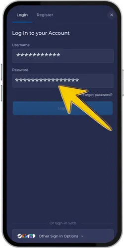 Inserisci email e login Rainbet